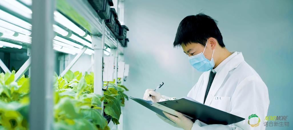 诺合新生物便以科技创新为核心,专注于植物合成生物学相关产品与服务